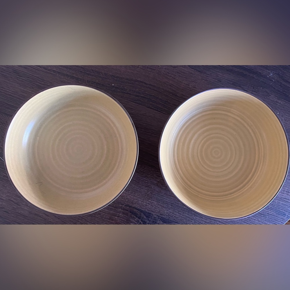 Anthropologie Matte Stoneware Dinner Bowls - Set of 2